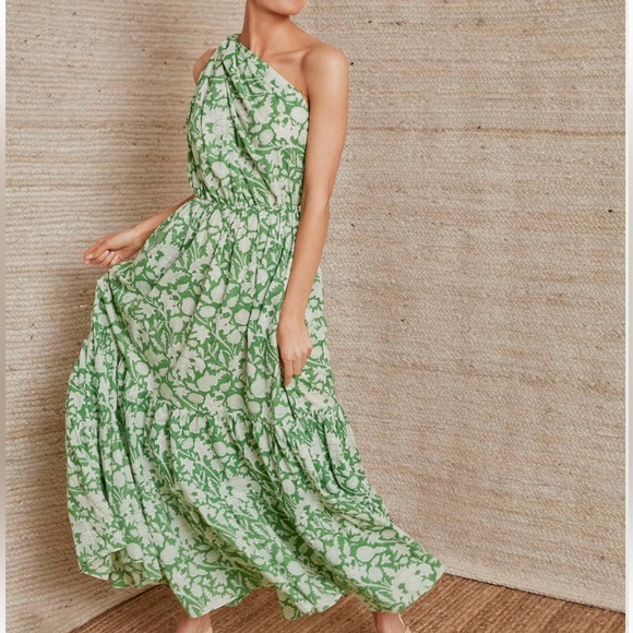 CHARINA SARTE Exclusive Green Botanica Long Dress - Picture 11 of 13
